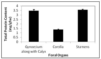 Protein content of floral organs of J. grandiflorum